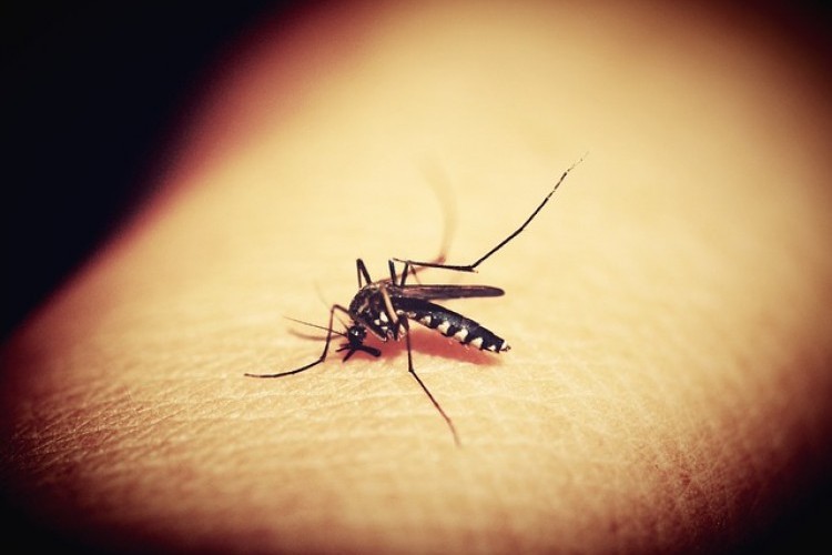 https://radiometropoleam.com.br/uploads/news/Jales confirma a primeira morte por dengue neste ano