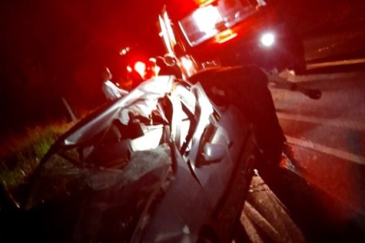 https://radiometropoleam.com.br/uploads/news/Vaca morre atropelada por carro na MGC-497 em Uberlândia