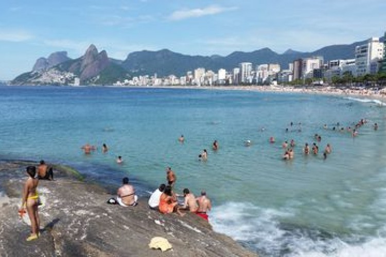 https://radiometropoleam.com.br/uploads/news/Elefante-marinho vira atração de surfistas e banhistas no Rio