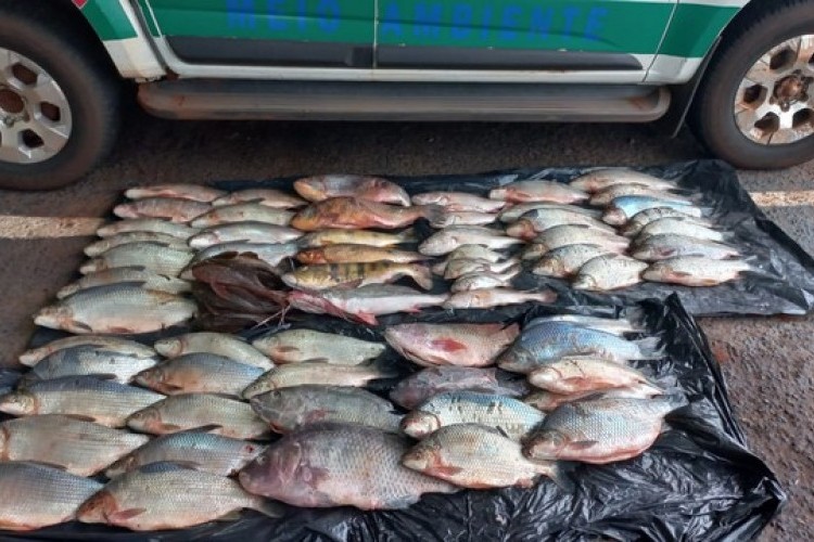 https://radiometropoleam.com.br/uploads/news/Homem é detido com 80kg de pescado ilegal em porta-malas de carro em Ituiutaba