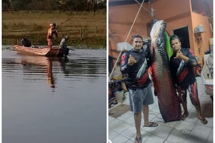 https://radiometropoleam.com.br/uploads/news/Jovem fisga pirarucu de mais de 115 quilos em rio do interior de SP: Não foi fácil tirar da água